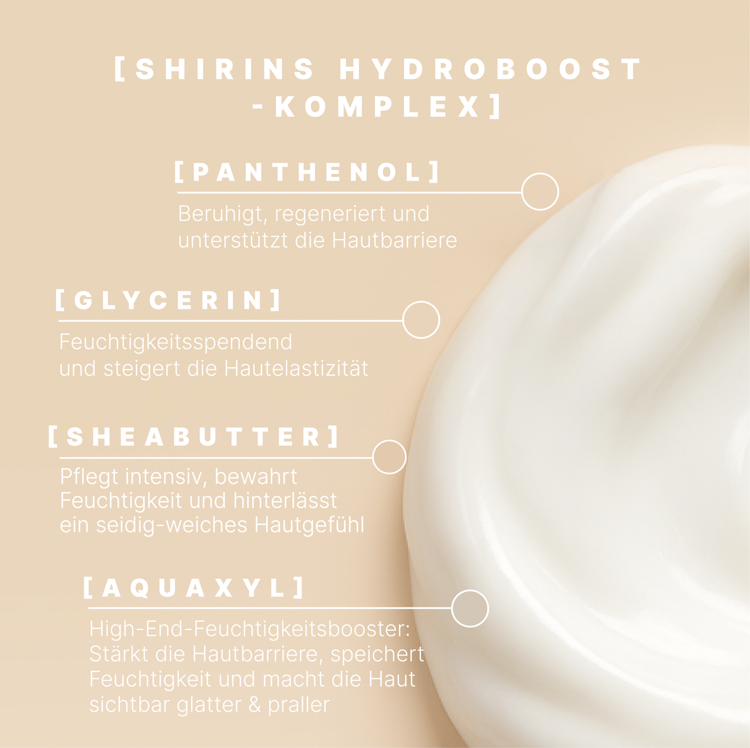 Body Milk Creamy Blueberry Caramel Bliss