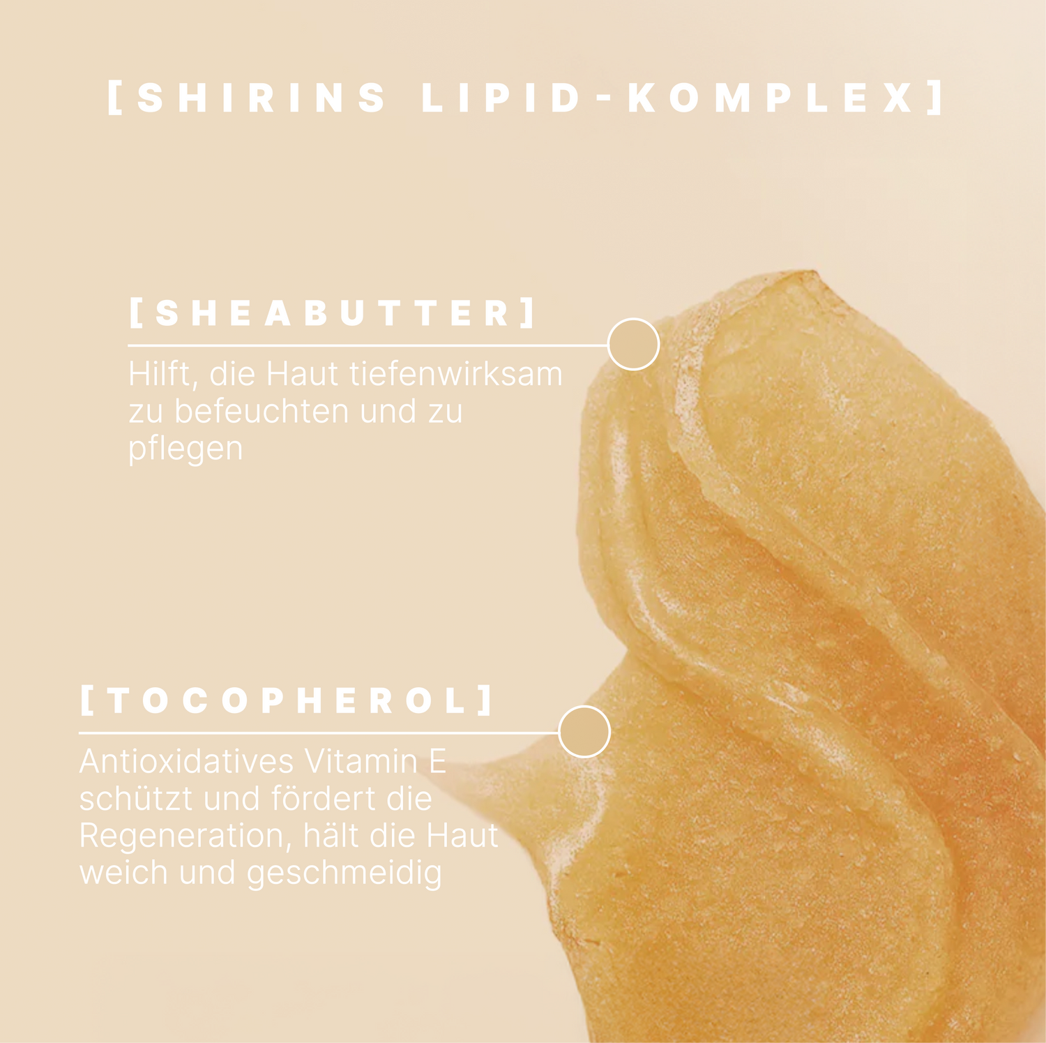 Body Scrub Creamy Blueberry Caramel Bliss